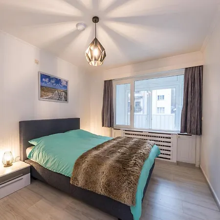 Center Parkview Free Parking 公寓 奥斯滕德