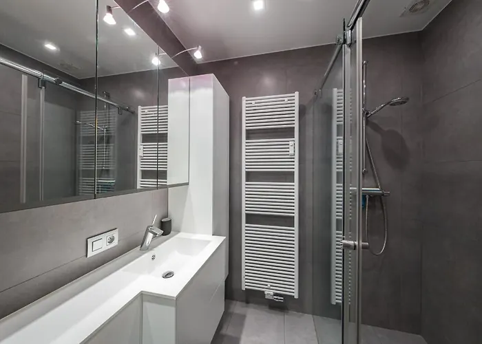 Center Parkview Free Parking אוסטנדה